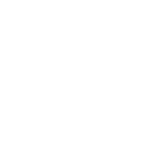 14-Renault