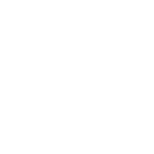 7-Grupo DG